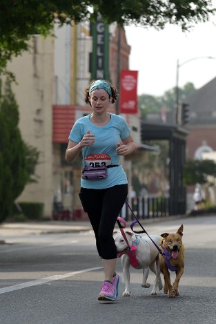 Running of the Bull...Dogs